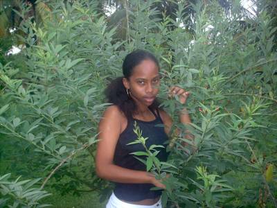 ma coulygial